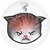 kitty emoticon angry.png