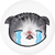 kitty emoticon crying.png