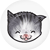 kitty emoticon happy.png