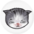 kitty emoticon skeptical.png