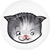 kitty emoticon smirk.png